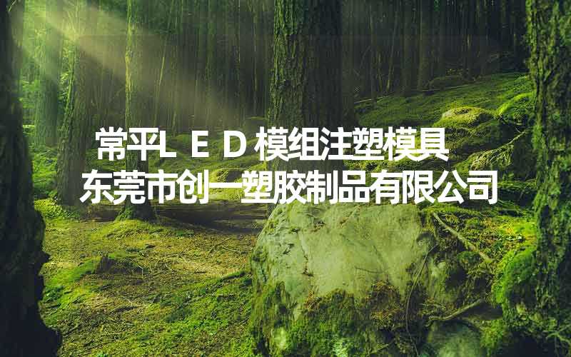 常平LED模组注塑模具 东莞市创一塑胶制品有限公司
